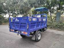 Tuktuk tuctuc