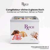 Congélateur 400l vitrine roch