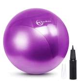 Ballon de yoga et gymnastique 65cm prémium