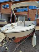 Bateau moteur open 4,5 m blanc / Bleu 50 CV