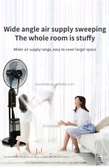 Ventilateur Brumisateur sur Pied