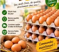 Vente d'oeufs