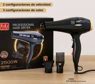Kiki Sèche-Cheveux Professionnel, Moteur AC 2500 W