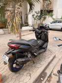 Xmax 300