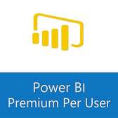 Microsoft Power BI Premium Per User – 1 an