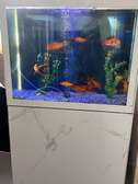 Aquarium sur pied