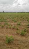 Terrain / champ à vendre par hectare à maléme hodar