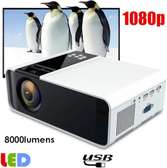Vidéoprojecteur  FHD 8000 lumens 150 pouces (3,80m)