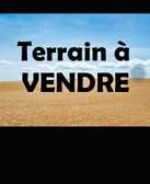terrain titré bail