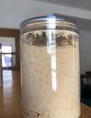 Poudre de Maca 100% Naturelle au Sénégal
