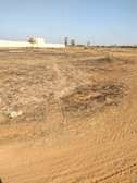 Terrain de 2 hectares  a vendre a NOFLAYE