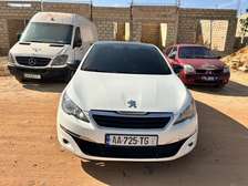 Peut 308 t9