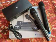 Bose BS-206 - Système de radio avec 2 microphones