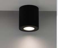 Spot