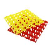 Alveoles poule de 30 œufs plastique