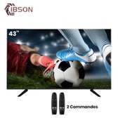 Téléviseur 43 pouces Smart Android IBSON