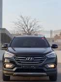 Hyundai santafe 2016- 2017