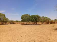 Terrains de 7 590 m² dans la zone horticole de Tassette