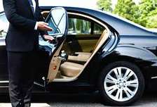 Chauffeur Professionnel
