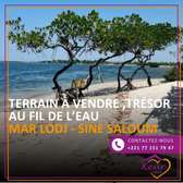 Terrain à vendre sur l'île de Mar Lodj