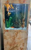Aquarium sur pied