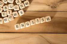 English Tutoring Online or at home!