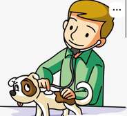 Docteur vétérinaire à Domicile