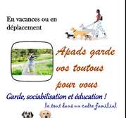 Garde/ pension chiens