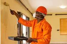 peinture professionnelle