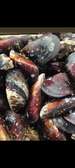 FRUITS DE MER ET POISSONS