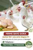 **Le goût du vrai poulet fermier, 100% BIO !** 🍗