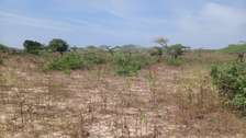 Terrain agricole accessible a vendre
