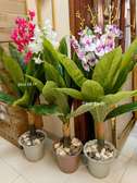 Arbre de Coin orchidée avec cache pot et déco