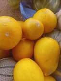 Vente melons
