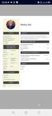 CV professionnel