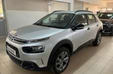 C4 CACTUS