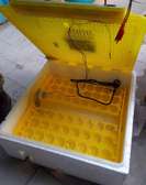 Couveuse automatique neuve