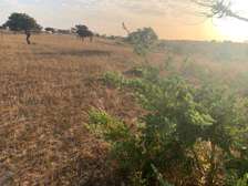 Hectares agricoles 295f/m2