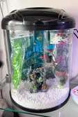 Aquarium