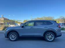 HONDA CRV 2023
