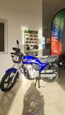 Moto Fenghao 125 2025