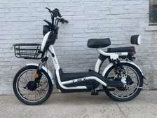 vélos électriques