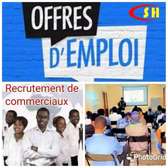 RECRUTEMENT COMMERCIAL EN LIGNE
