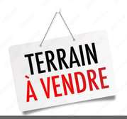 Terrains à vendre à LAC ROSE