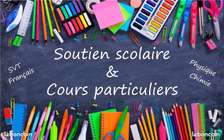 Cours à domicile et à distance.