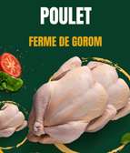 Poulet express
