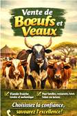 VENTE DE BOEUFS ET DE VEAUX