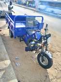 Tricycle utilitaire motorisé bleu plateau spacieux