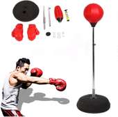 Punching-ball de boxe