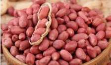 Cacahuètes rouges naturelles fraîches en vrac